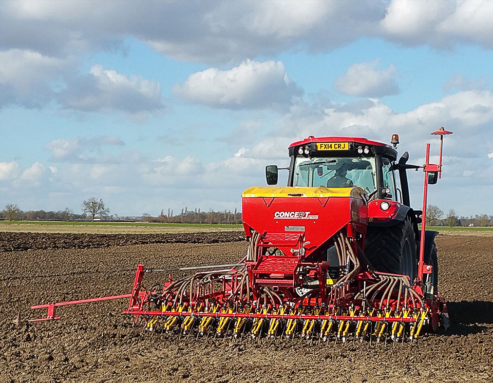 SEED DRILLING